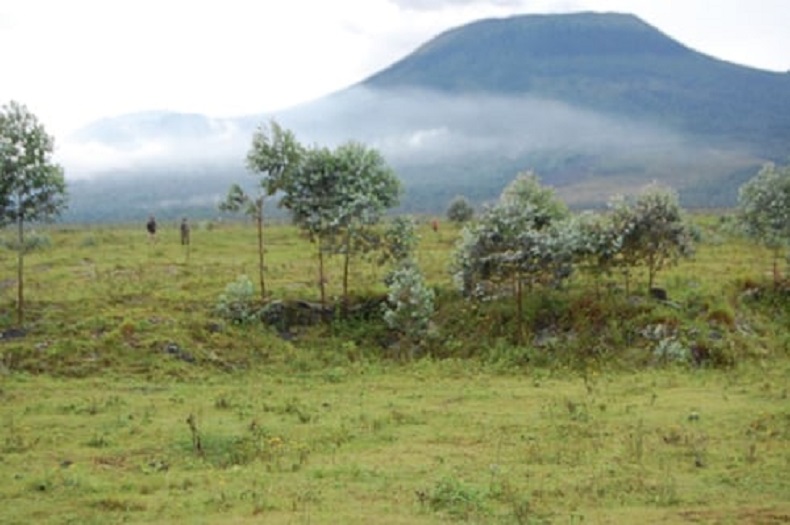 Iki kibaya gikunda kunyuramo abarwanyi ba FDLR bashaka guhungabanya umutekano w'u Rwanda
