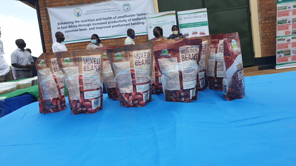 Bimwe mu bishyimbo bihiye byatunganyijwe bishobora kumara umwaka bitarangirika