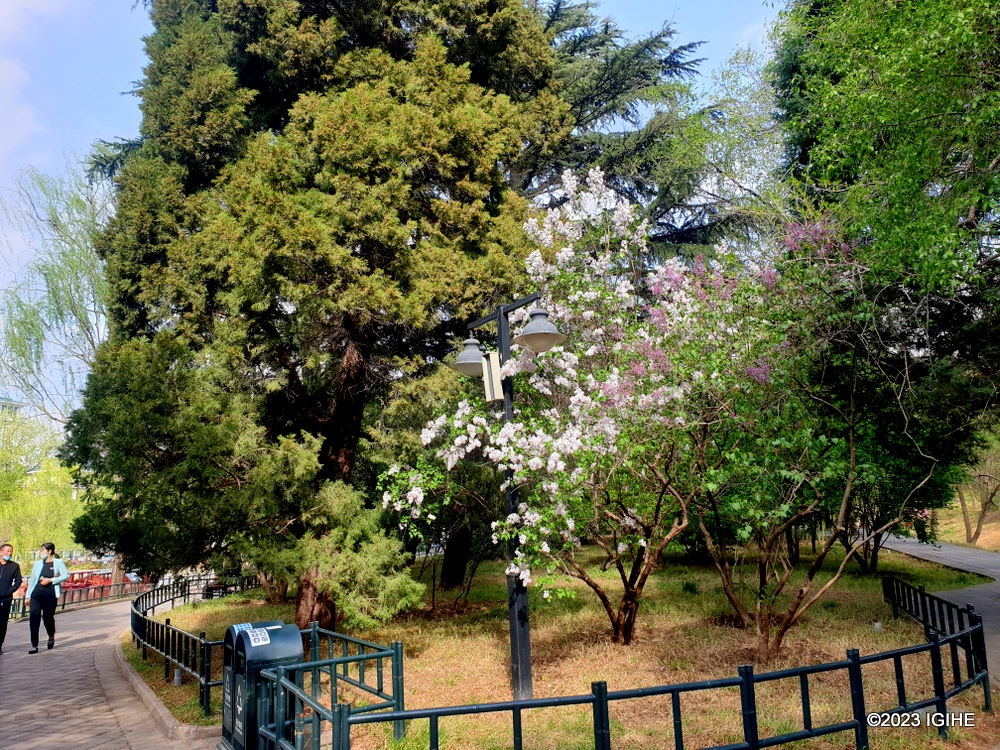 Pariki yubatse mu buryo bugezweho, irimo amatara ku buryo na nijoro ikora