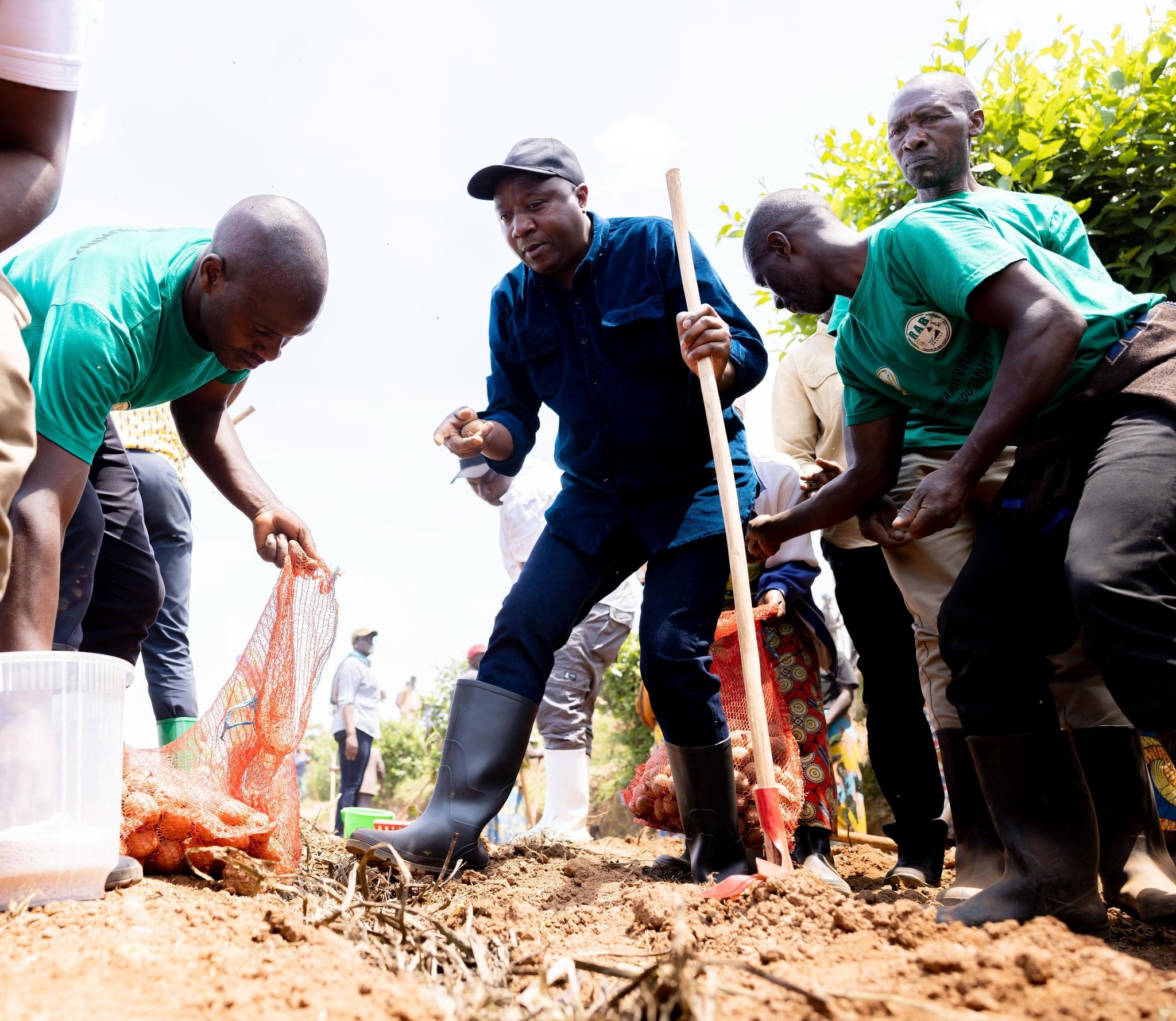 Minisitiri w'Intebe, Dr. Edouard Ngirente, yifatanyije n'abaturage b'i Burera gutera imbuto y'ibirayi