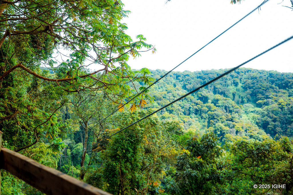 Imigozi ya zipline iteguye neza, ni mishya kandi igenzurwa mu buryo buhoraho