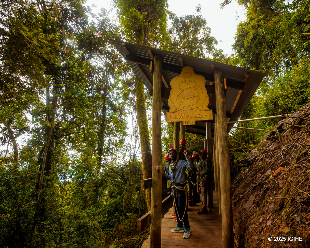 Ahatangirira urugendo rw'ikindi cyiciro cya Zipline, hose hahawe amazina y'inyamaswa zigaragara muri Pariki y'Igihugu ya Nyungwe