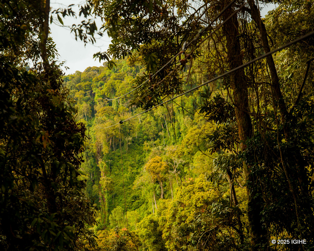Uyu mugozi uba ufite igikoresho kimeze nka feri kuko kigabanya umuvuduko w'umukerarugendo uri kuri zipline, mu gihe yegereje aho urugendo rusorezwa