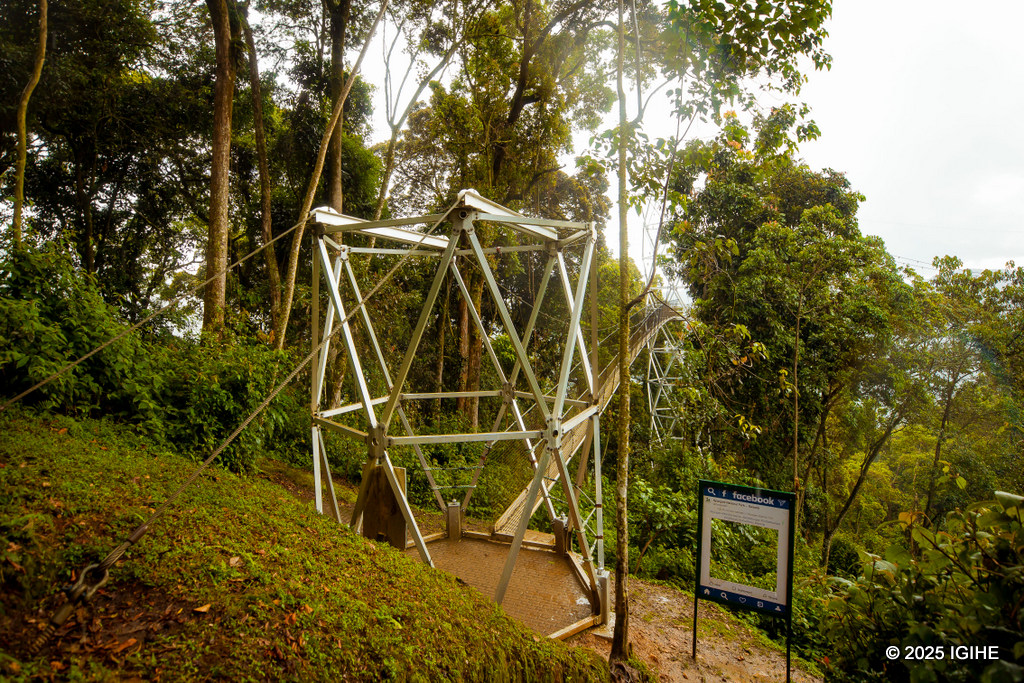 Ahatangirira urugendo ku kiraro cya Canopy Walk