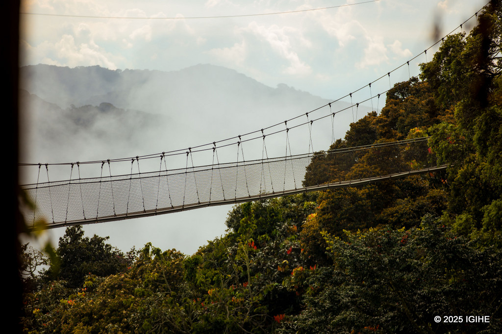 Canopy Walk iguha amahirwe yo kureba ibyiza bya Pariki y'Igihugu ya Nyungwe uri mu kirere