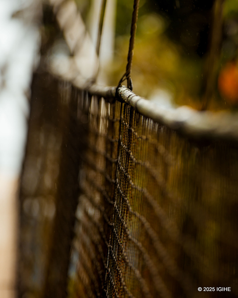 Imigozi ya Canopy Walk iba ifashe neza
