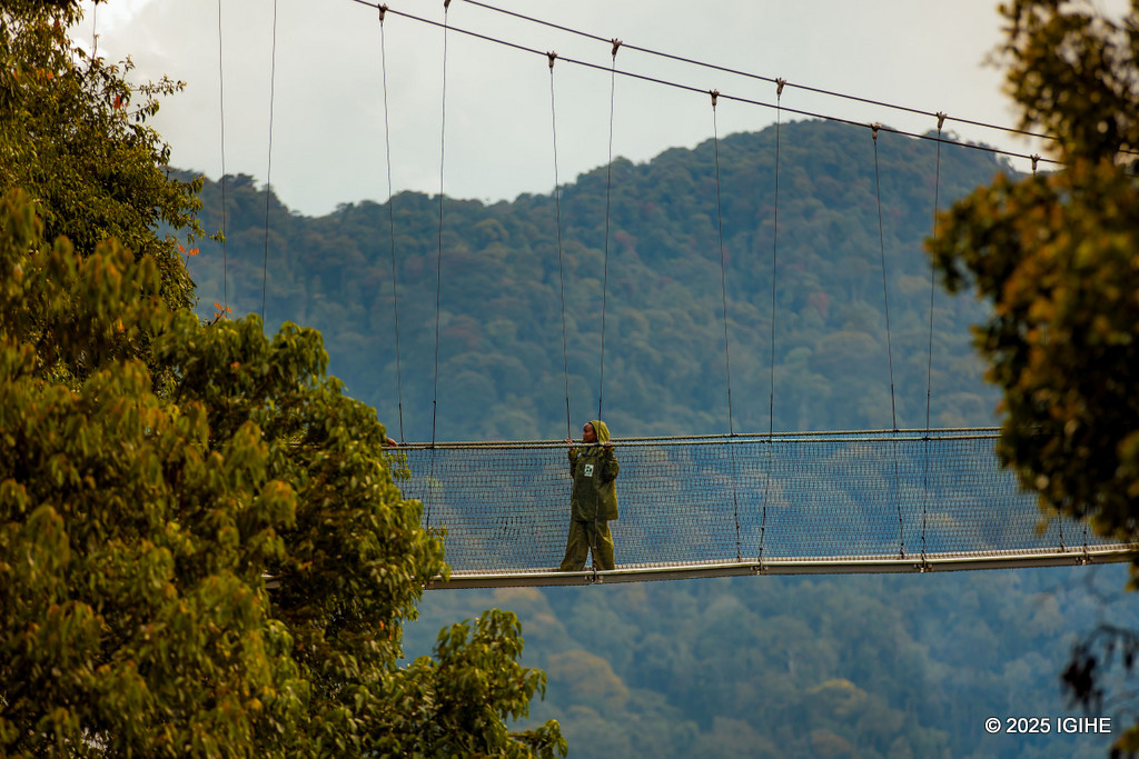 Amafoto yo kuri Canopy Walk ni agatangaza