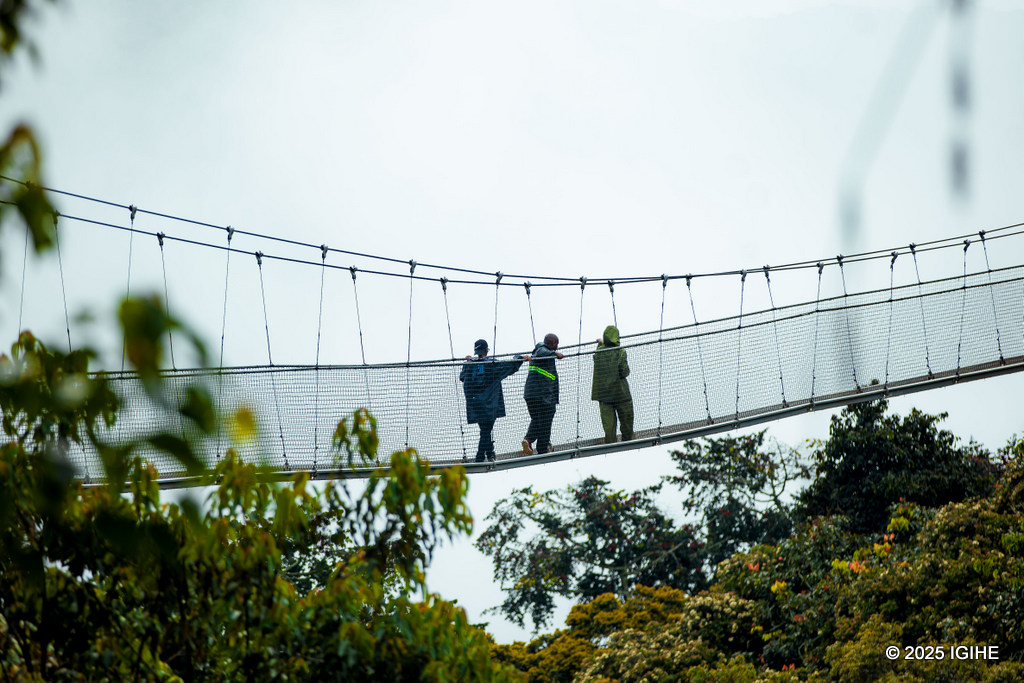 Iyo uri mu bushorishori kuri Canopy Walk, ubona ishusho y'ubwiza bwa Pariki y'Igihugu ya Nyungwe mu buryo budasanzwe