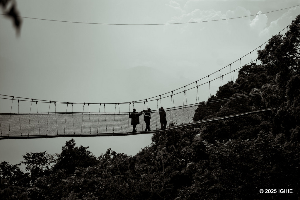 Canopy Walk ishobora kwakira abantu umunani nta kibazo na gito igize