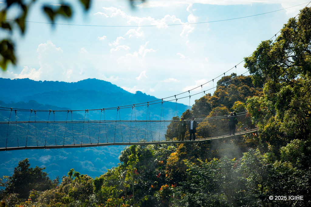 Canopy Walk ituma Pariki y'Igihugu ya Nyungwe igira umwihariko
