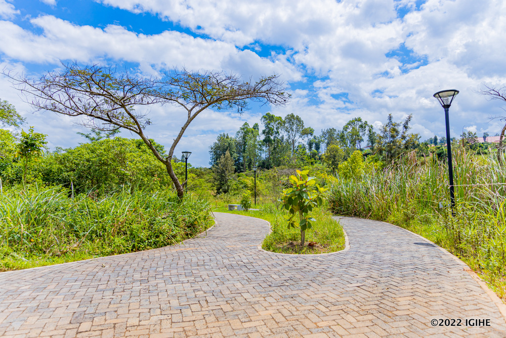 Ahari igishanga ubu hava umwuka mwiza usakara muri Kigali ndetse uyu mujyi ufite imishinga yo kubaka ibimeze nk’ibyakozwe i Nyandungu mu bihe biri imbere