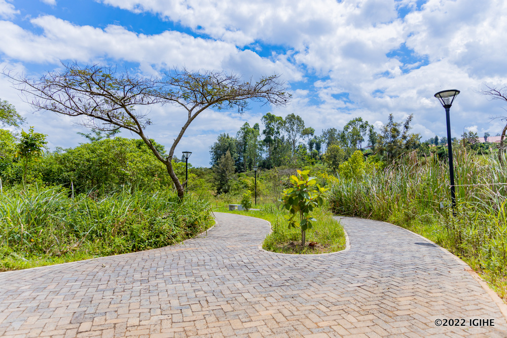 Inzira zihuza ibice bitandukanye bya Pariki ya Nyandungu zarakenkemuwe