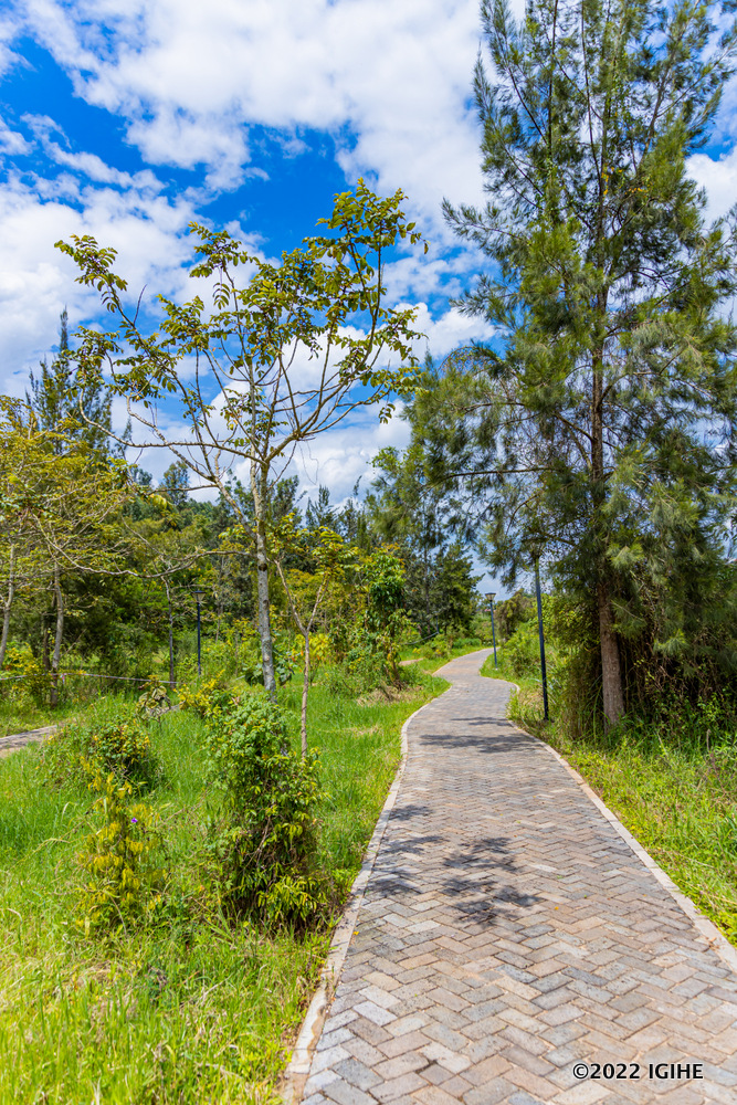 Uri muri iyi pariki, hari ibice ageramo akaba ari kure y'urusaku rw'imodoka zikoresha imihanda iyikikije