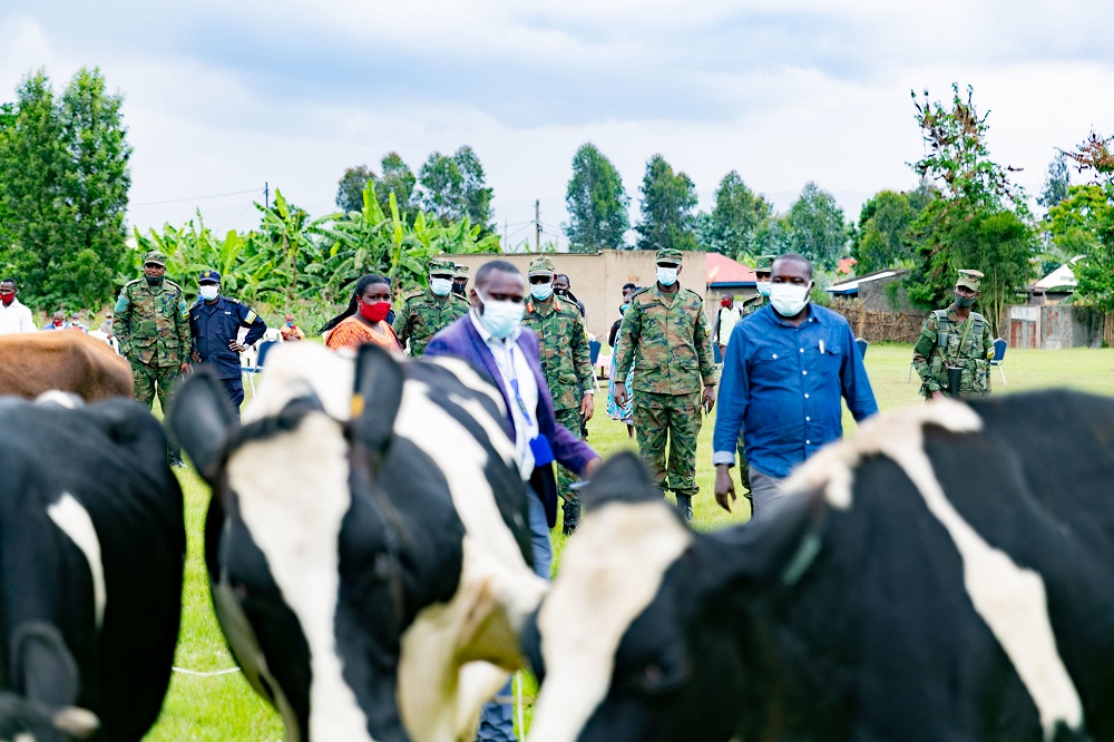 RDF igira n'uruhare mu bikorwa by'ubworozi aha yorozaga abaturage bo mu Karere ka Burera
