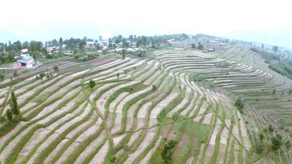 Umushinga wa Green Gicumbi uzamara imyaka itandatu, washowemo miliyari 32 Frw