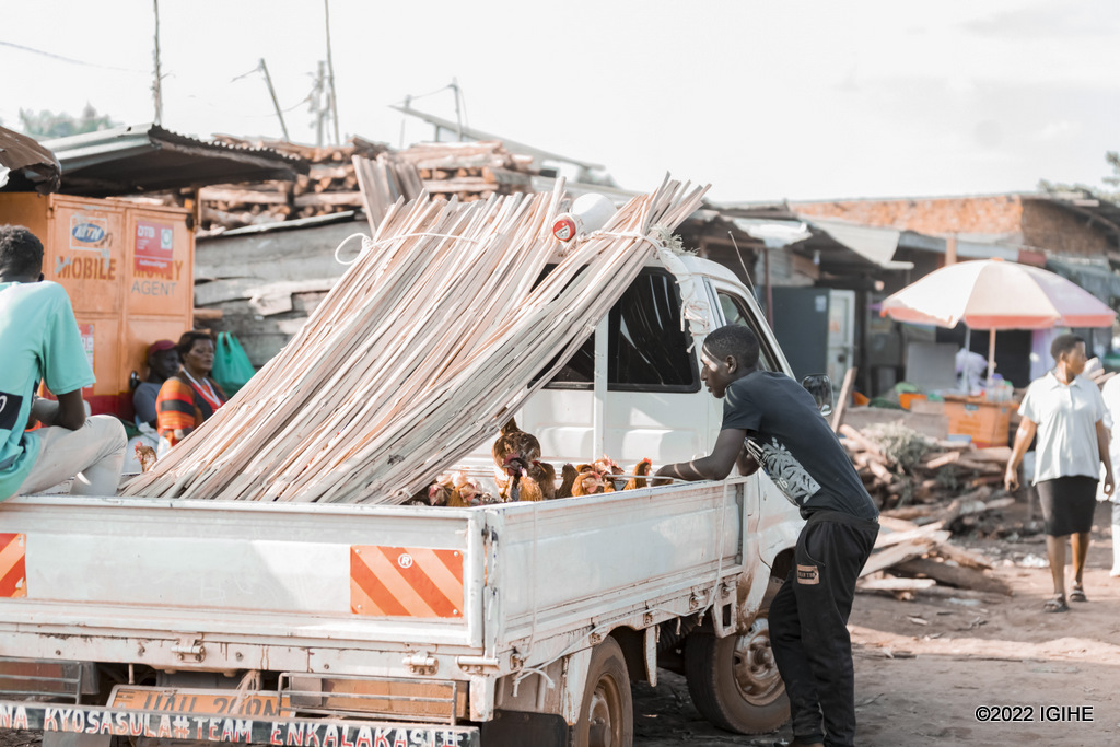 Iyo ugeze Gabba buri gihe uhasanga imodoka zazanye inkoko zo kubagwa