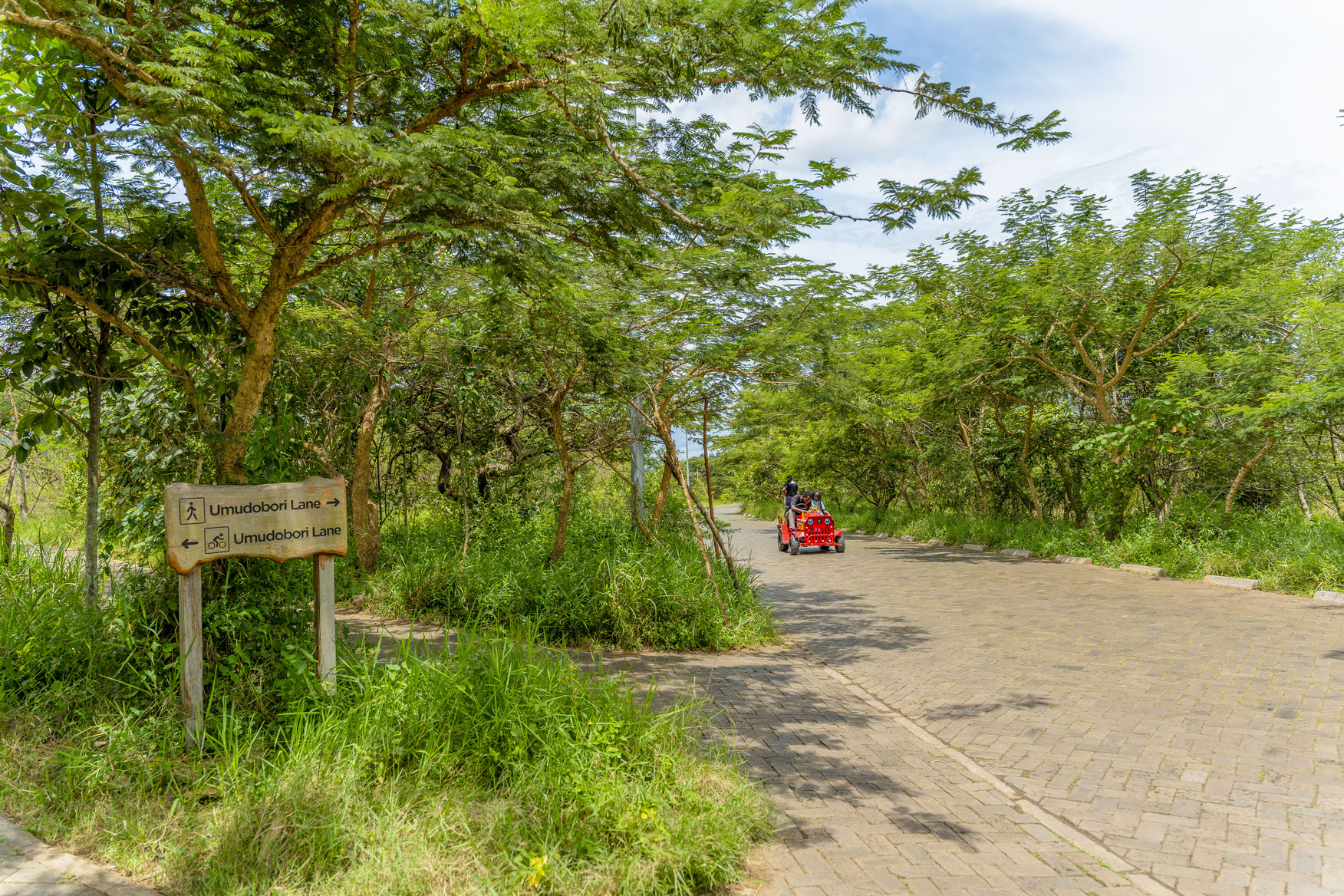Pariki ya Nyandungu yahinduye ubuzima mu Mujyi wa Kigali