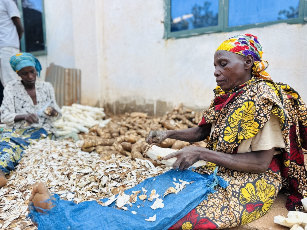 Kwiyongera ku musaruro w'imyumbati byafasha mu kongera ibiryo by'amatungo no kugabanya ibiciro byabyo