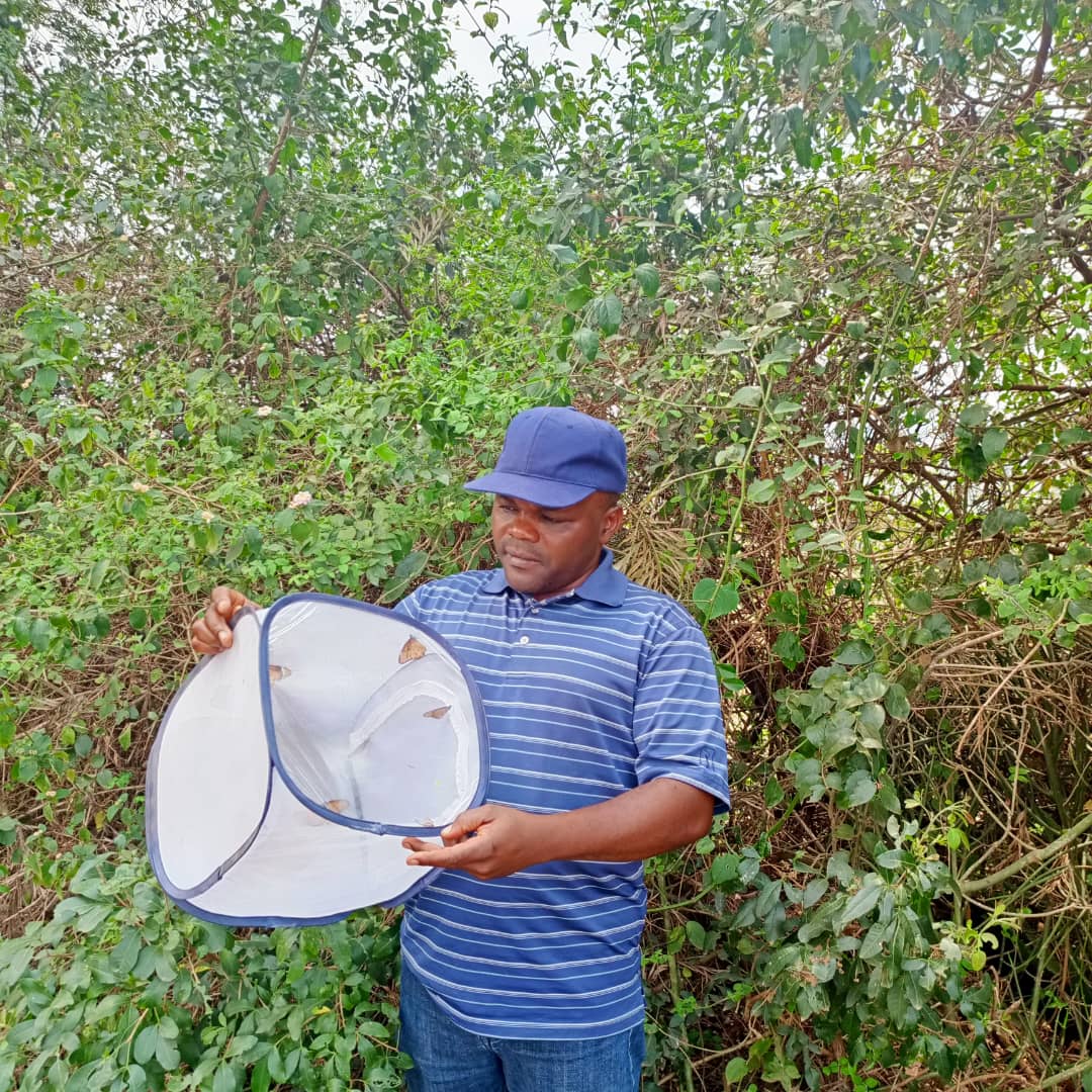 Inzobere mu bijyanye no kubungabunga urusobe rw’ibinyabuzima harimo n’ibinyugunyugu akaba n’umwarimu muri Kaminuza y’u Rwanda, Dr. Jean de Dieu Uwizelimana ni we watangije umushinga wo korora ibi binyabuzima