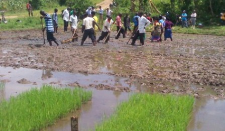 Abahuguwe bashyira mu bikorwa imihingire mishya