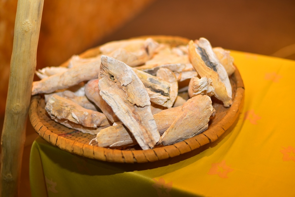 Imyumbati yumye iri mu byaganuwe