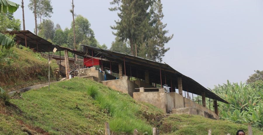 Uruganda rwa Gatare Coffee Washing Station rushinjwa kugira umunzani udakora neza