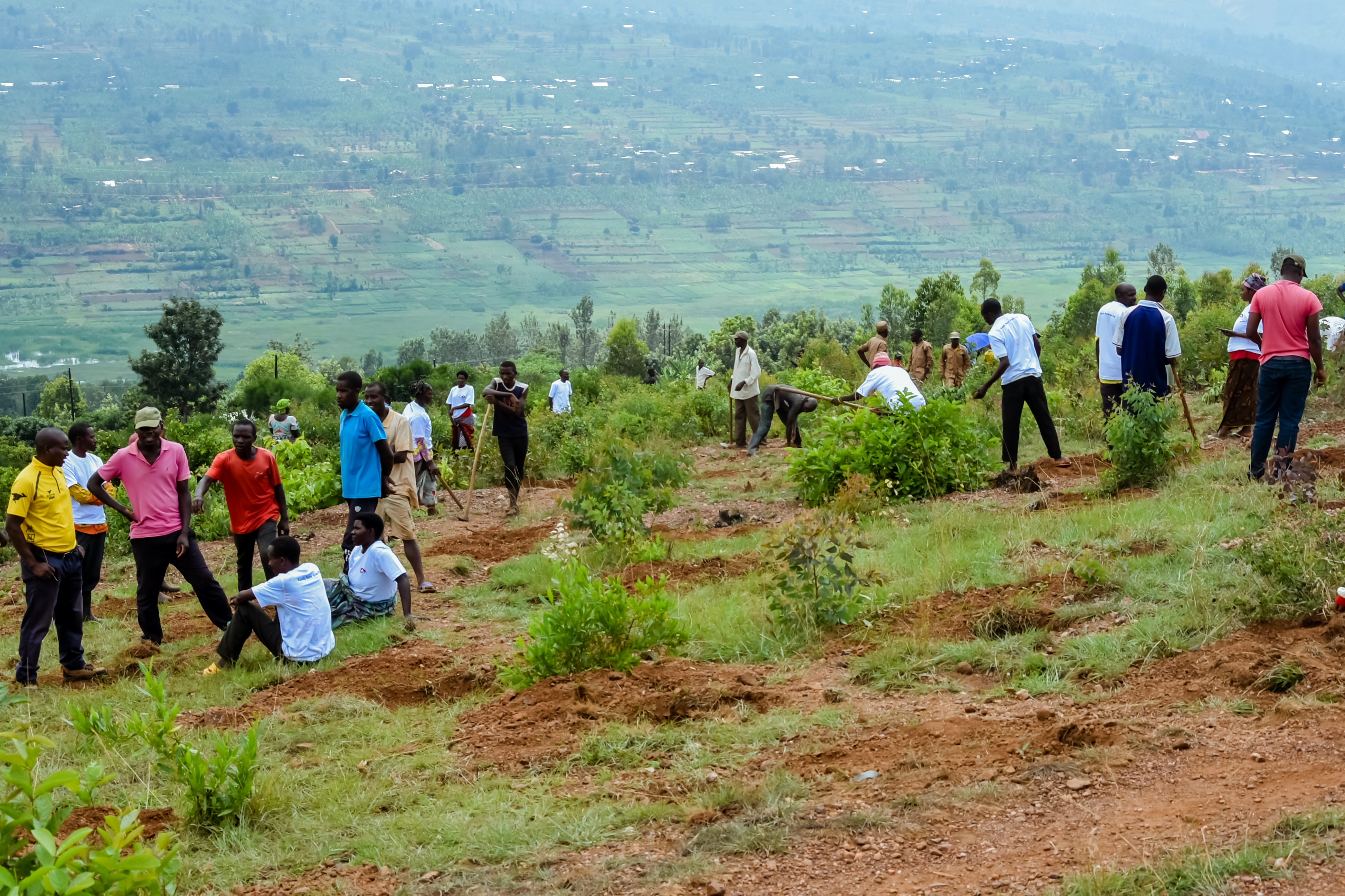 Abaturage ba Ayabaraya bafatanyije na Equity Bank Rwanda PLC gutera ibiti