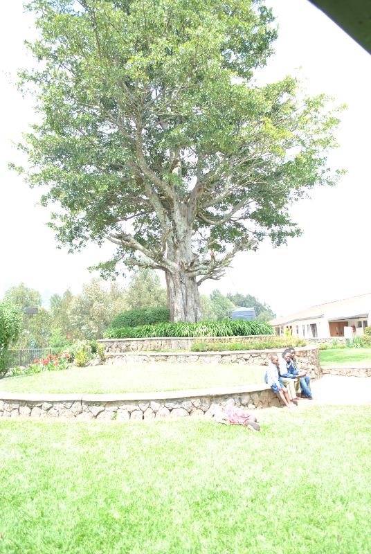 Abaturage bugama izuba muri uyu muvumu witwa ko ari uwa Nyabingi