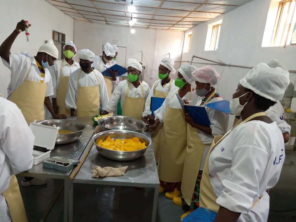 Aha hategurwaga ibimera birimo imyenya bikorerwa muri uru ruganda