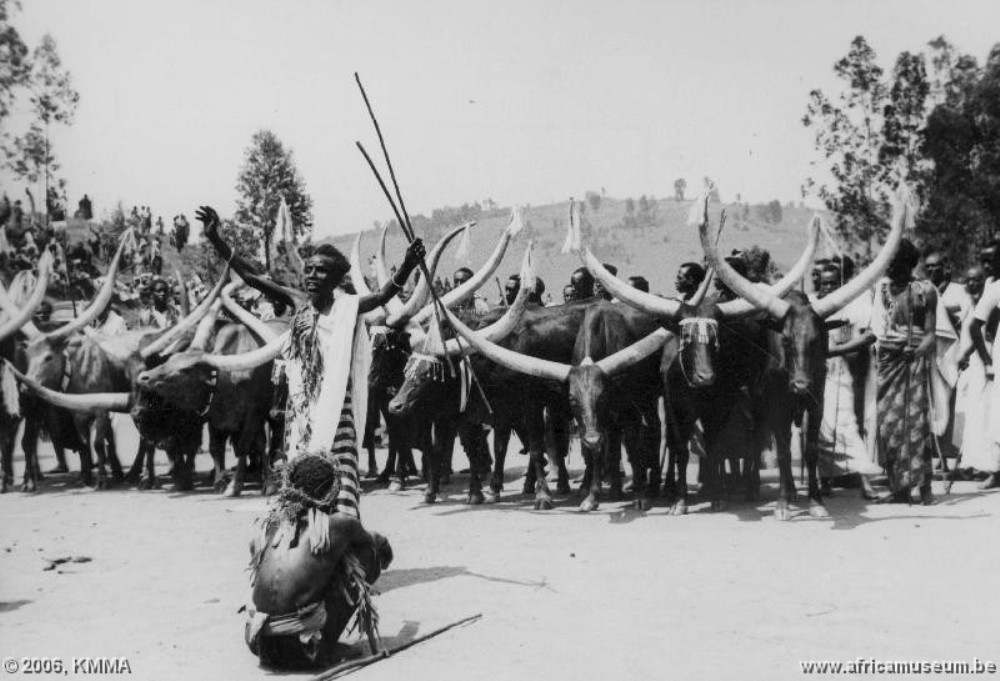 Amahamba ni bimwe mu bisingizo by'inka mu muco nyarwanda