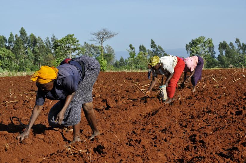 Mureshyankwano yasabye abahinzi bo mu Ntara y’Amajyepfo kuba bateye imyaka bitarenze icyumweru gitaha