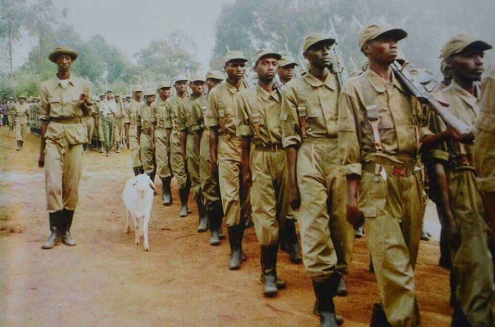 Iyi ntama yari ifite batayo ibarizwamo, iyigumamo kugeza yishwe