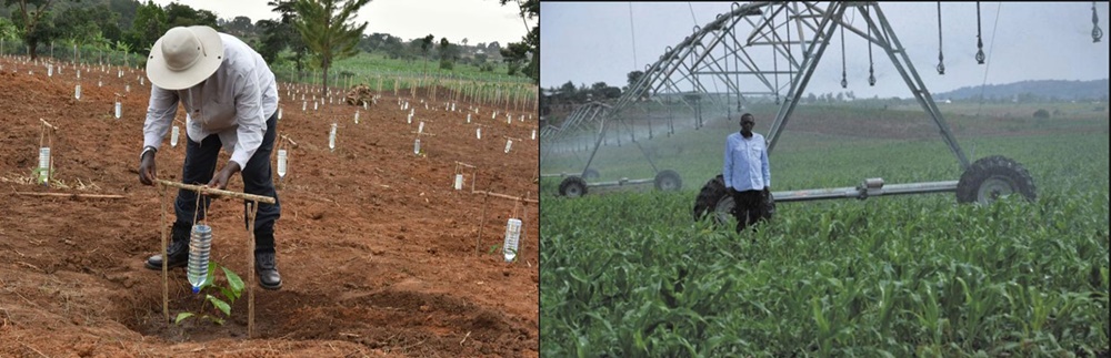 Yavuze ko muri Uganda, Museveni akoresha amacupa mu kuhira imyaka naho mu Rwanda hakaba hari uburyo bwo kuhira bugezweho