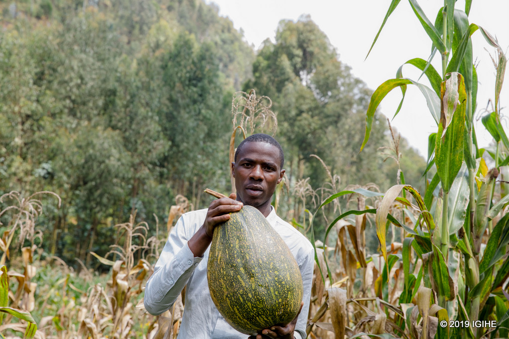 Tuyambaze Jean de Dieu ari mu murima. Aha yasaruraga ibihaza yongerera agaciro akabikuramo amavuta yo guteka