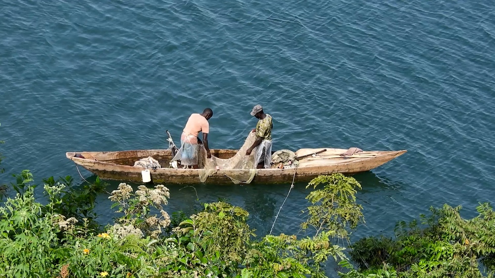 Ku manywa hari abandi barobyi basanzwe baba bishakishiriza amafi ariko ku manywa biragorana kuko amafi aba areba