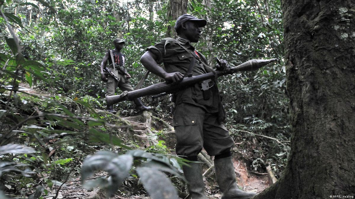 FDLR igenzura igice kinini cya Pariki y'Igihugu ya Virunga, ndetse iheruka kuhicira ambasaderi w'u Butaliyani i Kinshasa, Luca Attanasioka