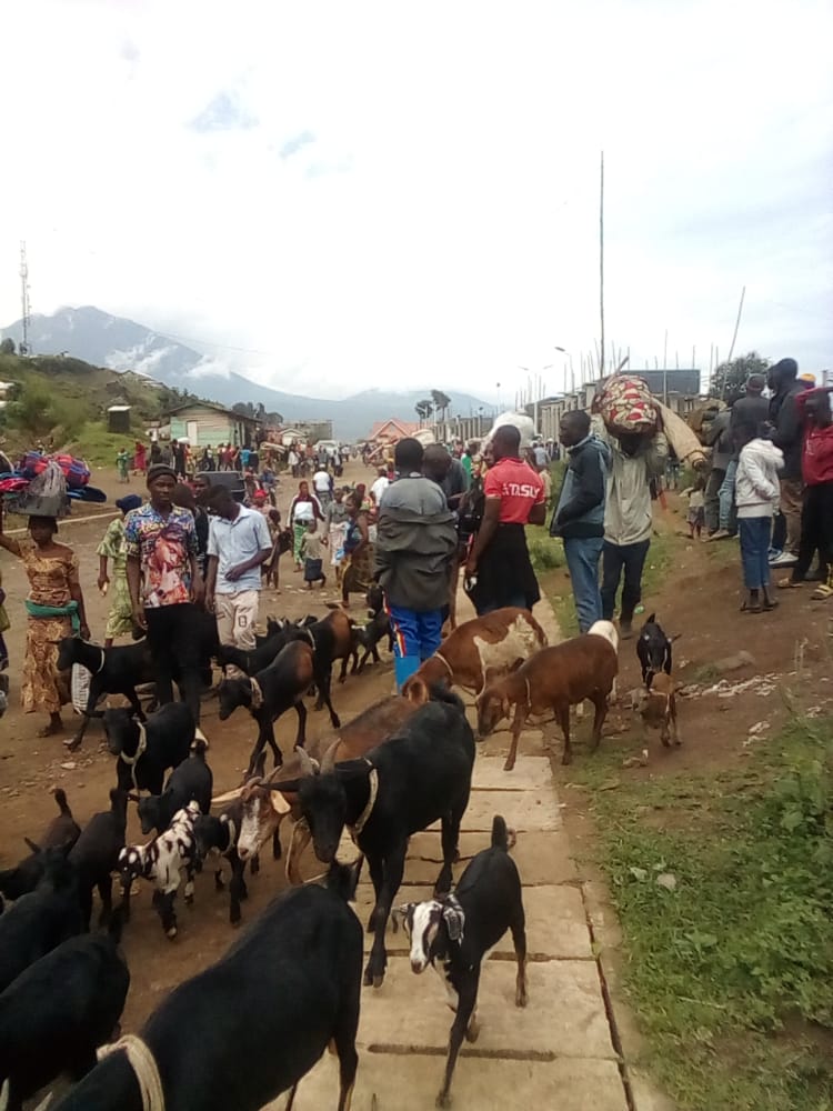 Abaturage bo mu bice bya Rutshuru n'ahandi, bamaze iminsi baravuye mu ngo zabo kubera imirwano