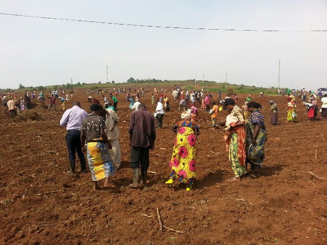 Abaturage ba Bumbogo bitabiriye igikorwa cyo gutera ibigori
