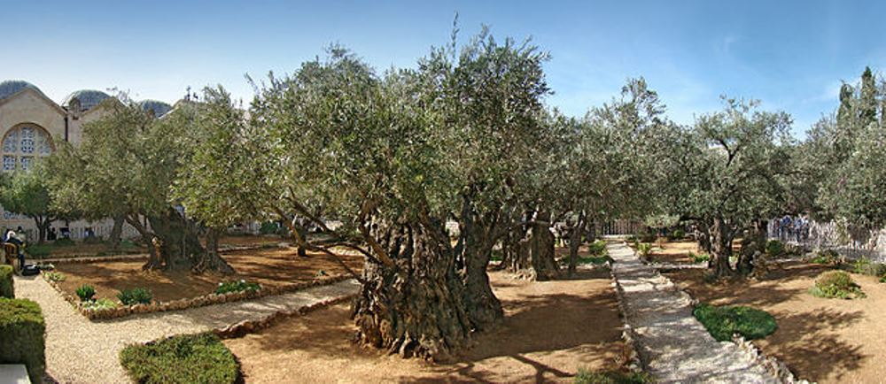Gathesame ni ubusitani buri i Jerusalem bufite amateka akomeye ku bakirisitu