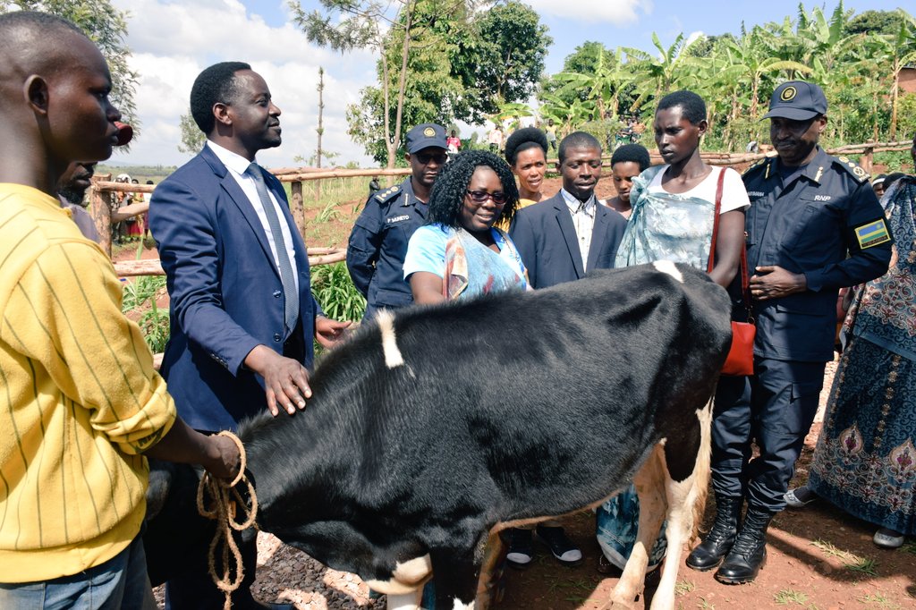 Muri iki gikorwa hatanzwe n'amatungo