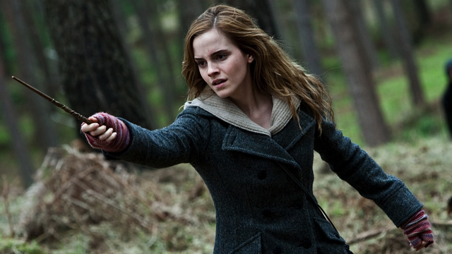 Hermonie Granger, Inshuti ya Harry Potter