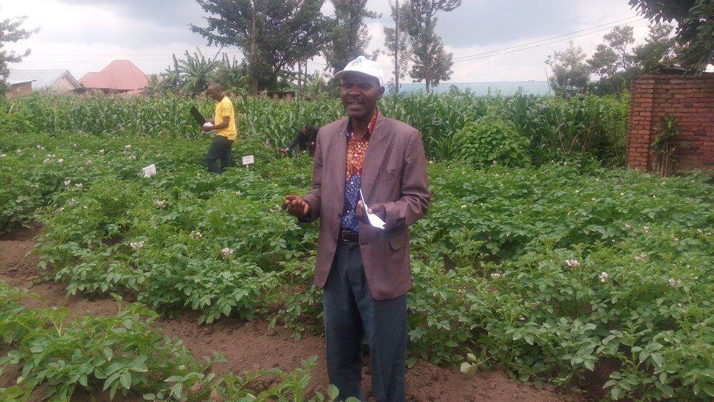 Hitimana Thomas yemeza ko izi mbuto zitanga umusaruro utubutse