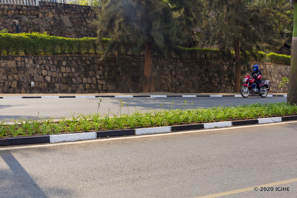 Isuku ya Kigali izarushaho kurimbishwa n'ubu busitani