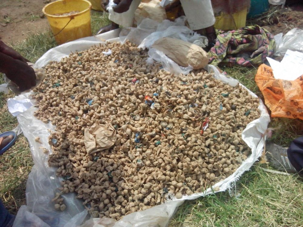 Mu biyobyabwenge byafashwe harimo n'urumogi