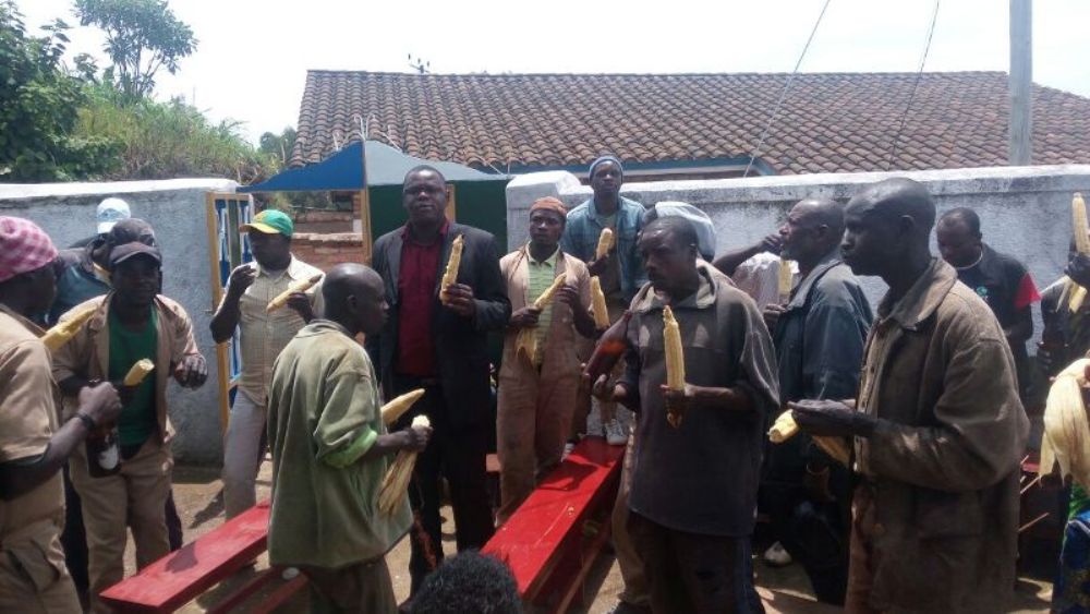 Bwari ubusane burimo n'icyo kurya