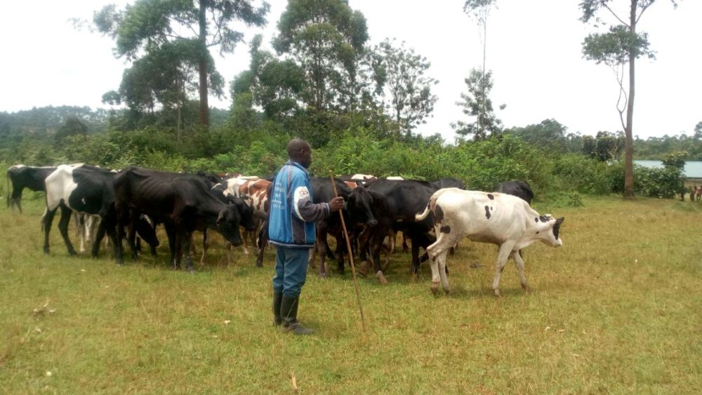 Compassion International yatanze muri Nyamassheke inka 116