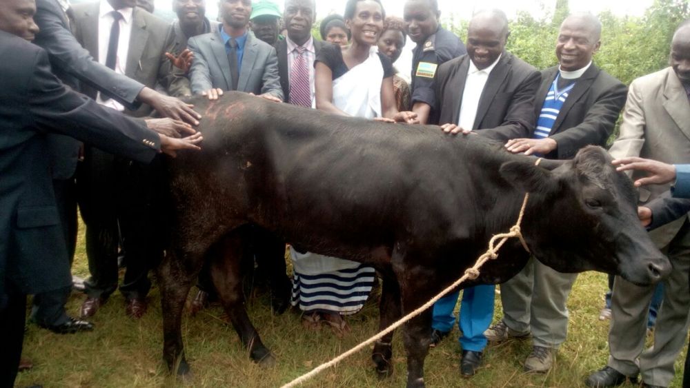 Compassion International ishyikiriza inka abatishoboye muri Nyamasheke