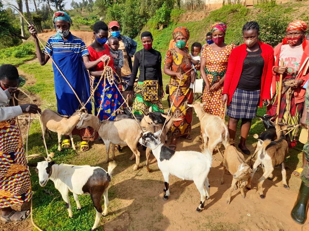 Abaturage benshi bamaze kubona amatungo babikesha kwisungana no guhuza imbaraga