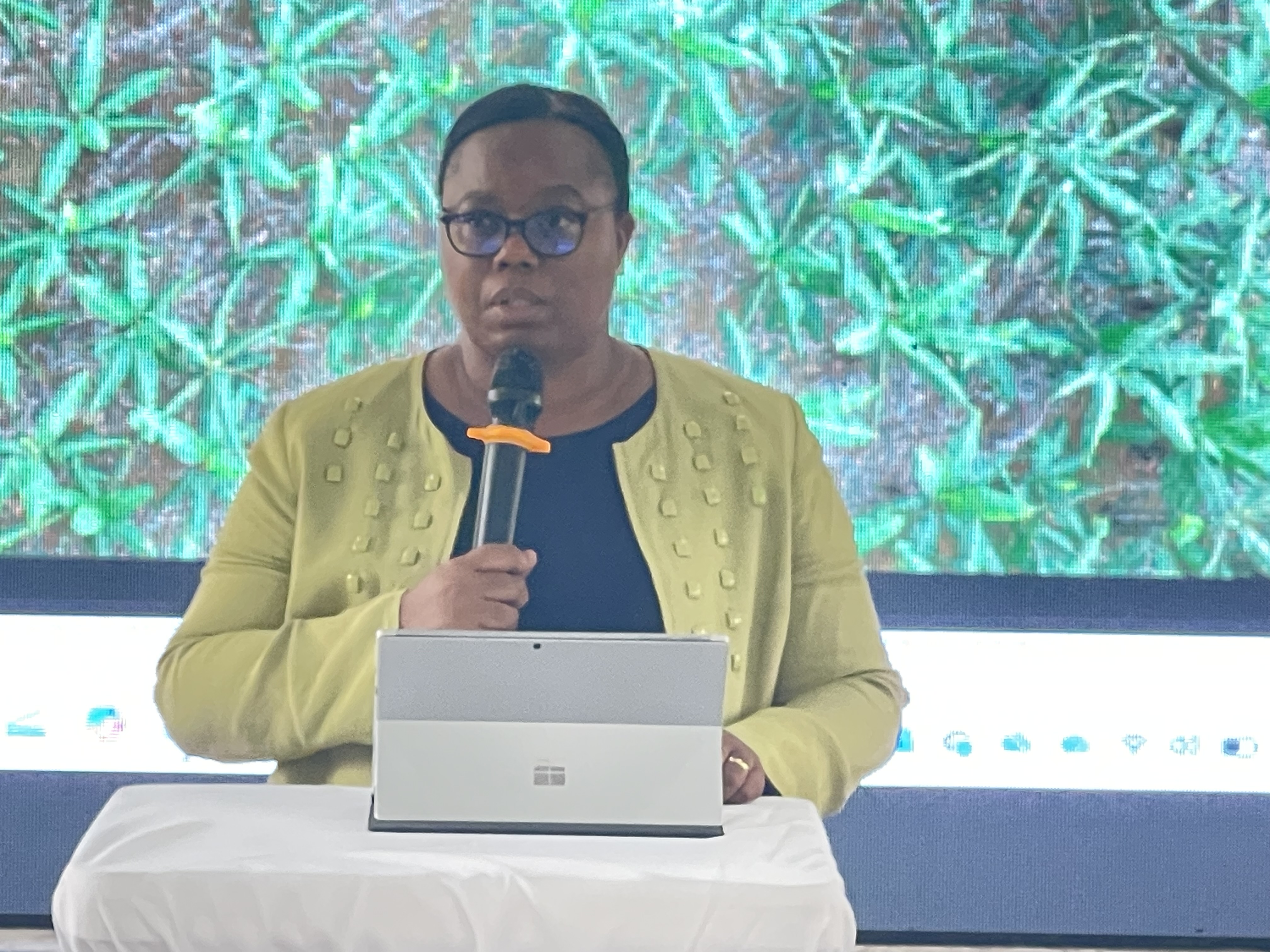 Umunyamabanga wa Leta muri Minisiteri y’Ubuhinzi n’Ubworozi, Dr. Solange Uwituze yavuze ko uretse gukosora imbibi z’ubutaka uyu muryango uri no kubafasha kwigisha abahinga muri FOBASI uburyo babikora kinyamwuga