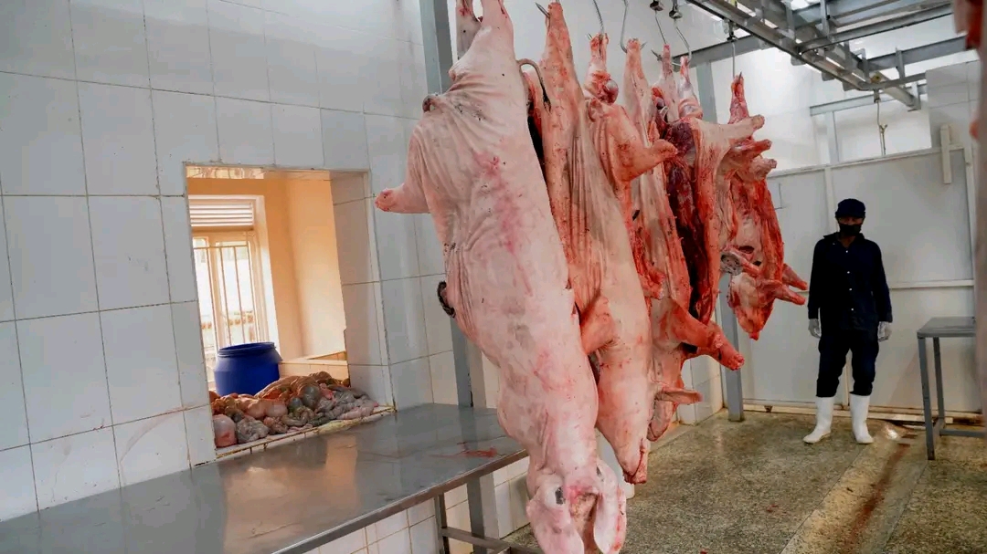 Inyama z'ingurube zikomeje kwiyongera uko bwije n'uko bukeye